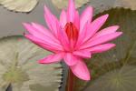 ภาพโดย(T.suwan)